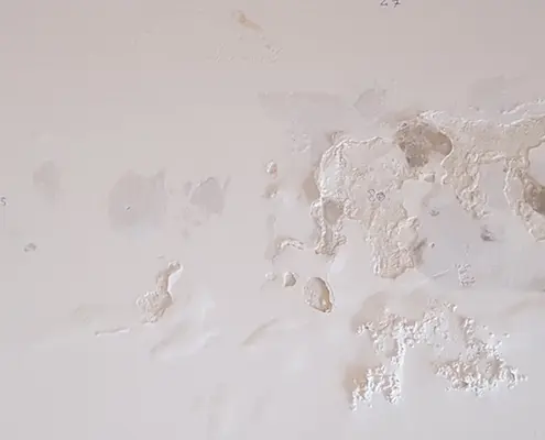 vochtschade muur