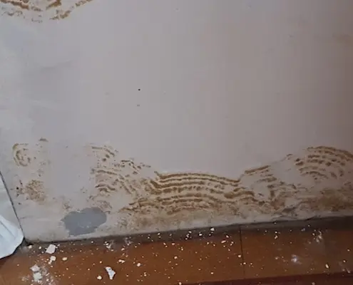 vochtschade aan muur